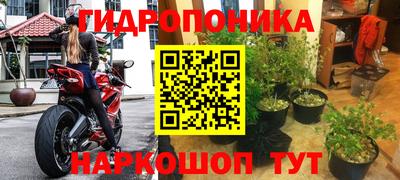 таблы Новозыбков