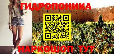 гашиш Новодвинск