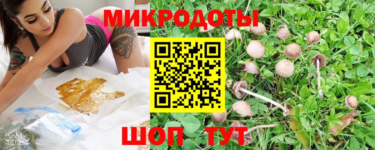Одинцово  Галлюциногенные грибы MAGIC MUSHROOMS  Вход с VPN 